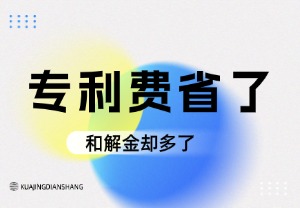 省下专利费用的卖家，最终往往将更多资金花在和解金上