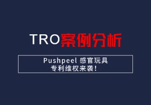 【25-cv-1957】Pushpeel 感官活动
